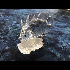 Swarovski Butterfly fish 🐠